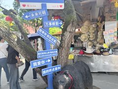 -一寨两国风景区