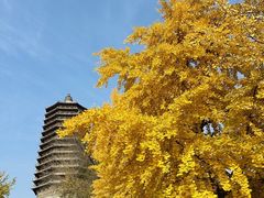 -玲珑塔公园