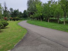 -白鹭湾湿地公园