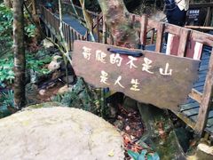 -七仙岭温泉国家森林公园