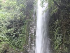 -莫里热带雨林景区