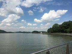 -水上明月·湖景餐厅