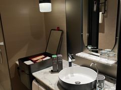 -新加坡瑞士史丹福酒店