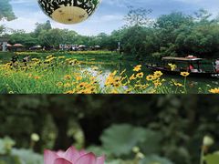 -西溪国家湿地公园