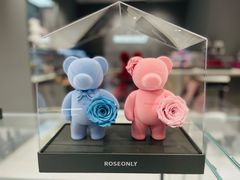 -ROSEONLY诺誓(广州K11店)