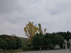 -白马涧龙池景区