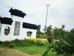 -莲花岛景区