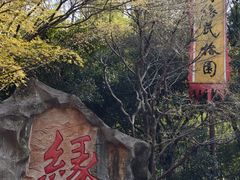 -杭州黄龙洞
