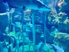 -龙谷湾旅游休闲度假区