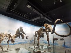 -辽宁古生物博物馆