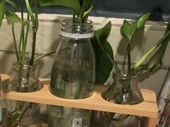 -广州神农草堂中医药博物馆
