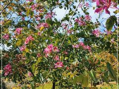 -中国移动南方基地