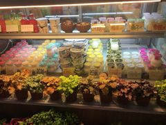 -狐狸家·酸奶酪专门店(平江路店)