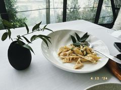 -梧桐