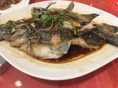 -普天和酒楼·新津菜·烤鸭(天津之眼店)