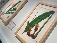 -云溪植物园