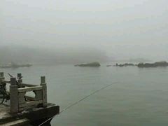 -野狸岛