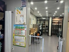 -瑞派宠物医院·犬猫全科·猫友好(宾水西道店)