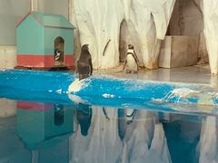 -太平洋海底世界