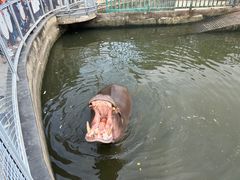 -无锡动物园·太湖欢乐园