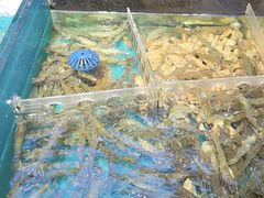 -魏铭鱼头捞饭(晋阳路店)