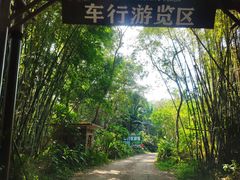 -海南热带野生动植物园