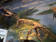 -自贡恐龙博物馆