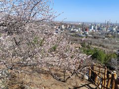 -白水寺森林公园