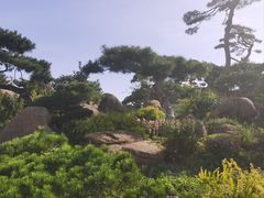 -罗红摄影艺术馆