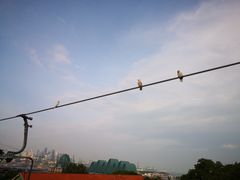 -圣淘沙天际线斜坡滑车