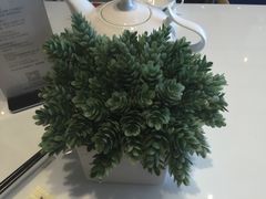 百粥坊餐饮店(仙林金鹰店)-赛百味(仙林金鹰店)