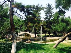 iphone_upload_pic-东北大学(南湖校区)