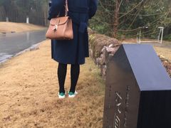 -田园东方蜜桃村的田野营地