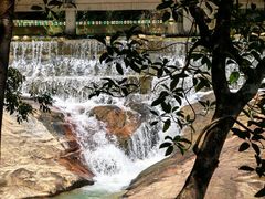 -广州白江湖森林公园