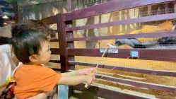 -酷嗒动物文化乐园(cutezoo西溪乐天城店)