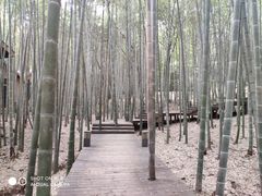 -苏州环秀晓筑养生度假村
