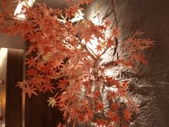 -食悦江南·淮扬菜·烤鸭(亚运村·惠新店)