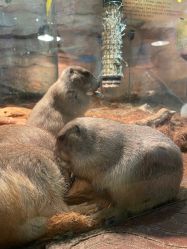 -Zoolung Zoolung动物主题公园(海信广场店)