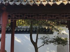 -秋霞圃