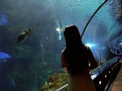 -石家庄海洋公园