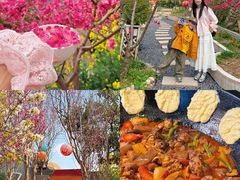 -桃源山庄·水蜜桃采摘·柴火鸡·烧烤团建(龙泉山店)