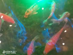 -碧中海汤泉汗蒸酒店