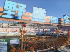 -绿野森林乐园冰雪季