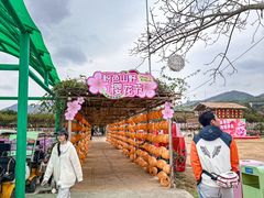 -盈香心动乐园
