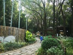 -同里国家湿地公园