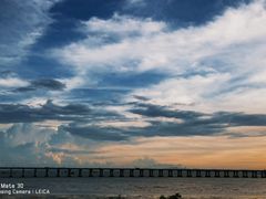 -宝安西湾红树林湿地公园