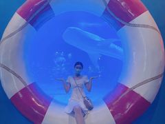 -烟台海昌鲸鲨海洋公园