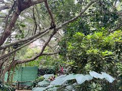 -海南热带野生动植物园