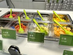 -Salud撒露欧洲冻酸奶(蓝色港湾店)