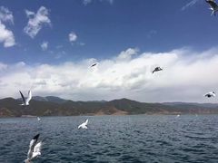 -丽江泸沽湖景区